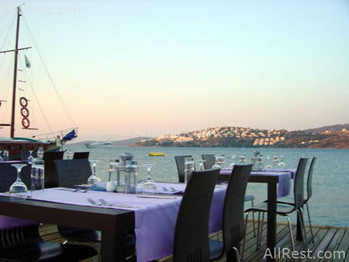 Costa Farilya Deluxe 27